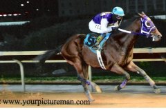 2012 Featured Race, Hollywood Casino, Charles Town, WV